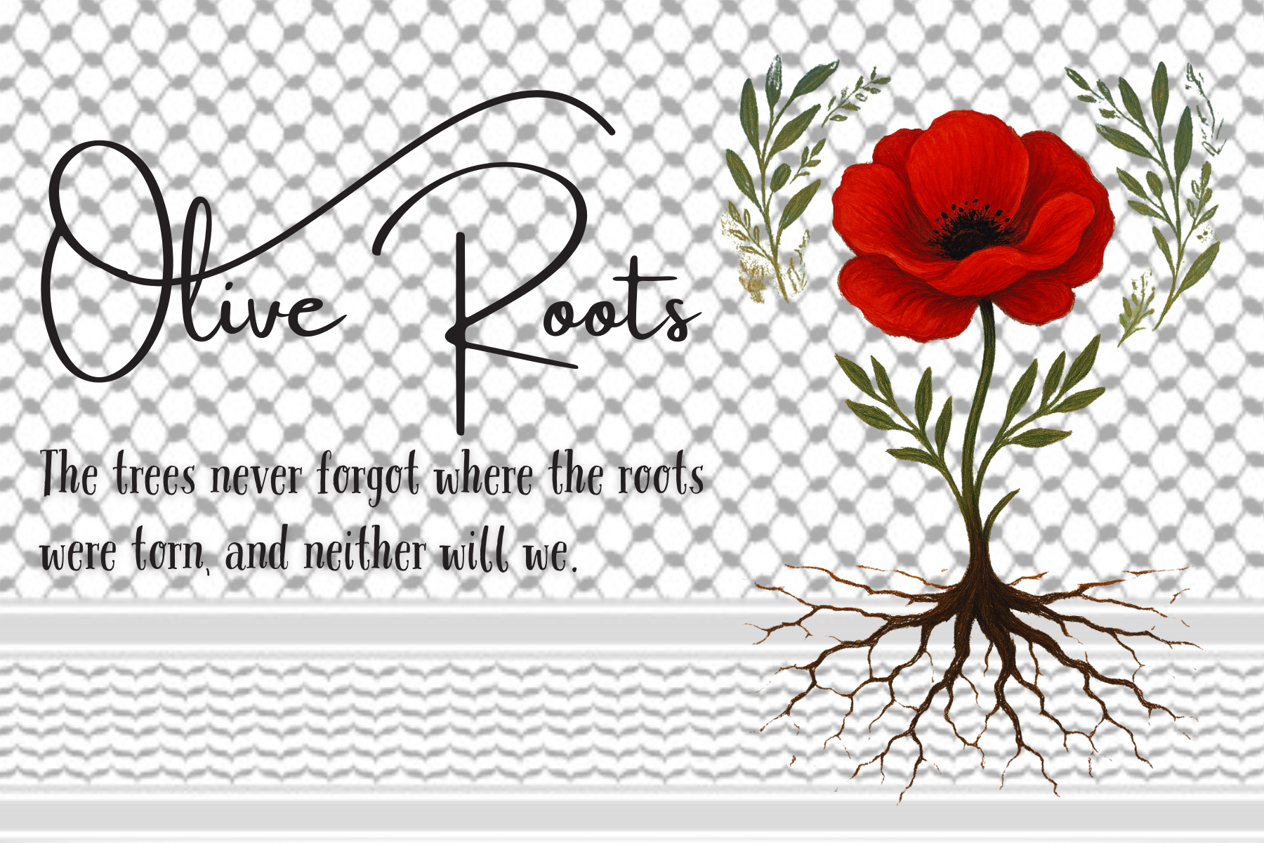 Olive Roots – Olive Roots